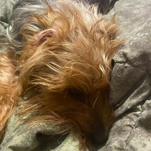 Meet your Posher, Mikeyla